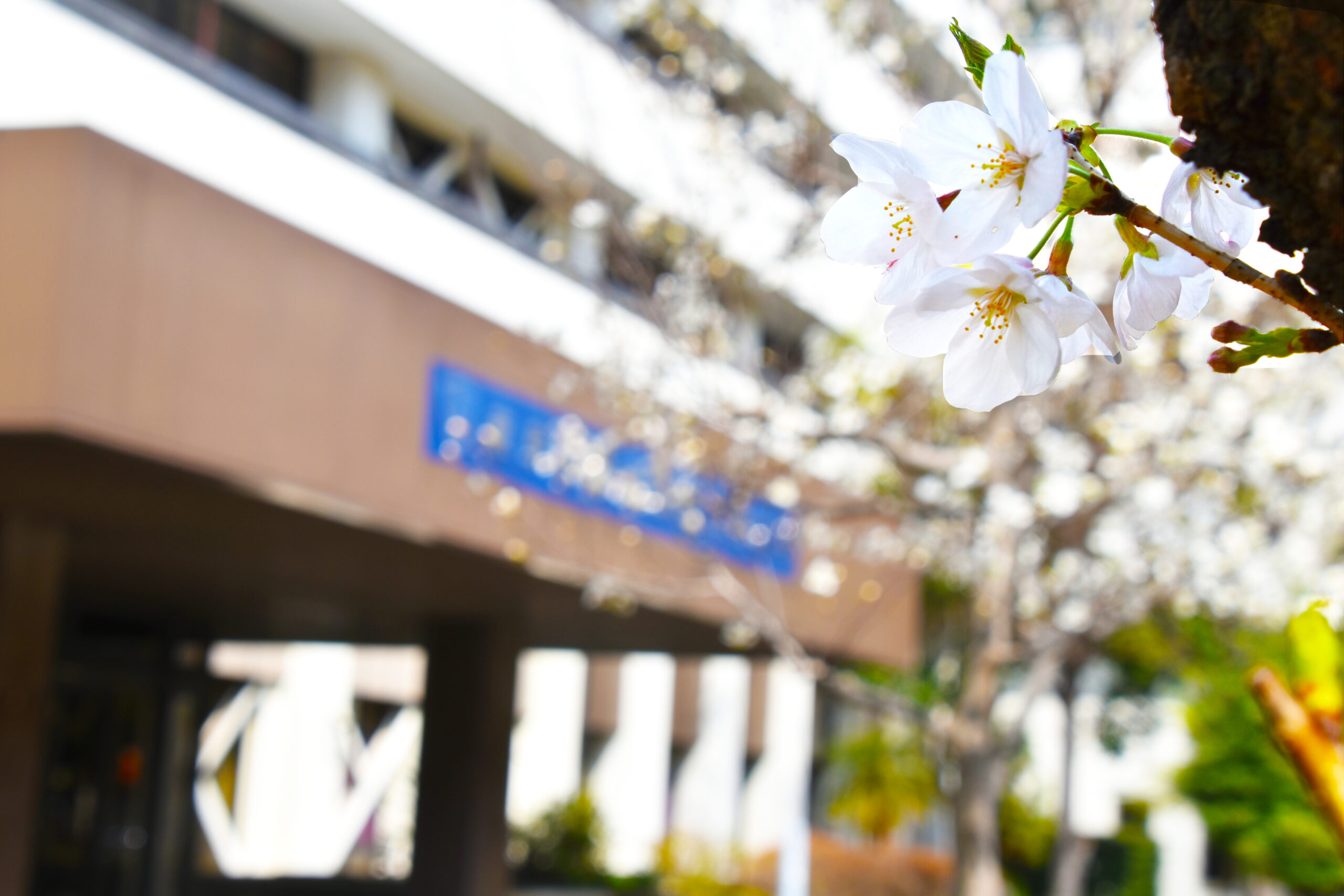 令和７年度 東京保健医療専門職大学 入学式を挙行いたしました